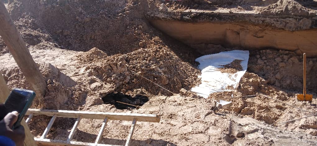 Restauration écologique